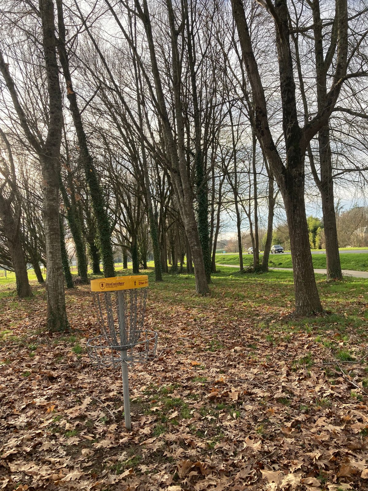 La corbeille · Plaine des Sports